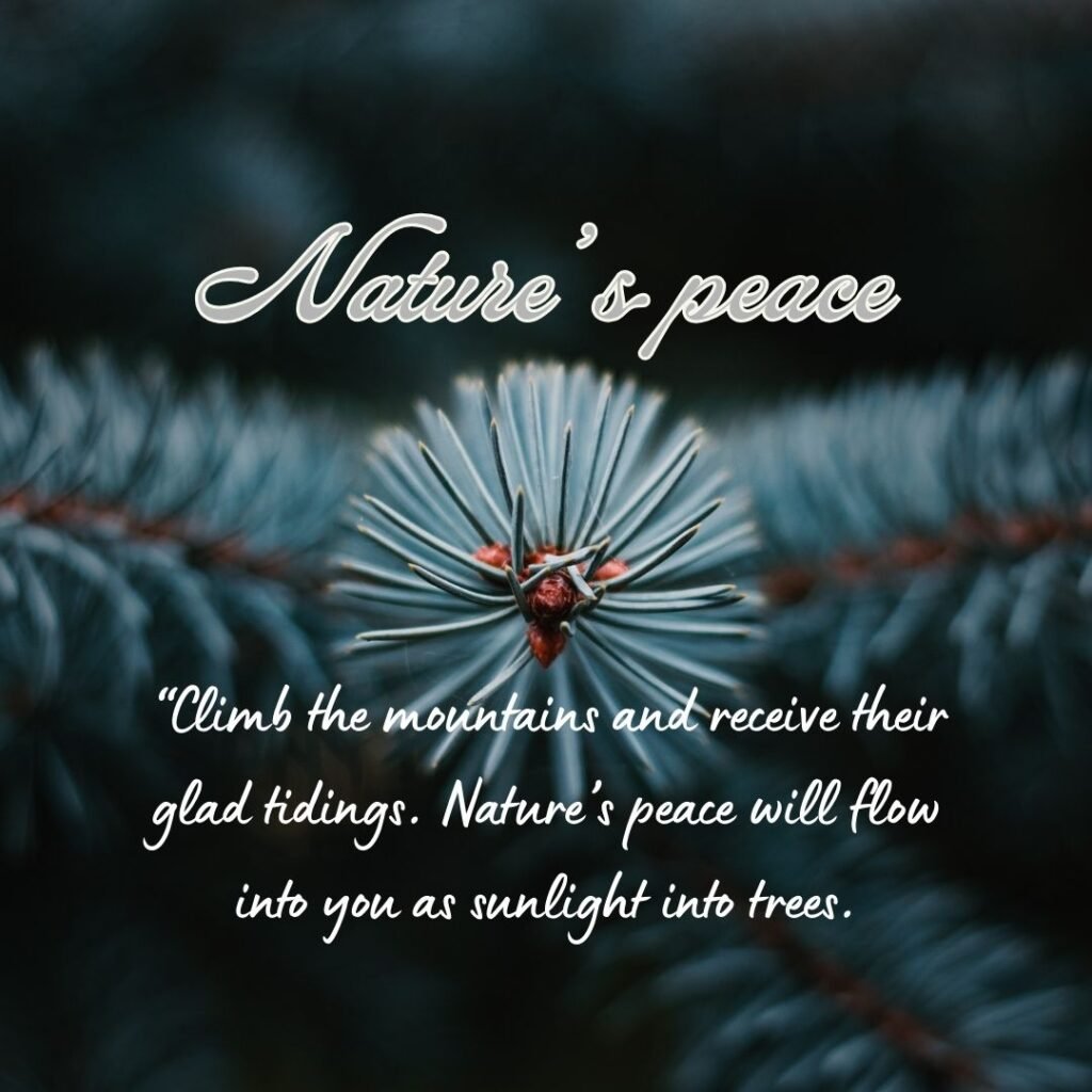 John Muir poems​ teach us that the mountains