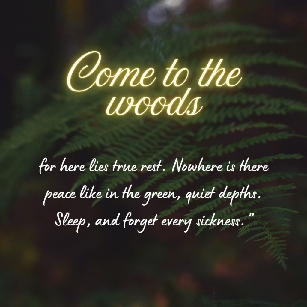 John Muir poems​ teach us that the mountains