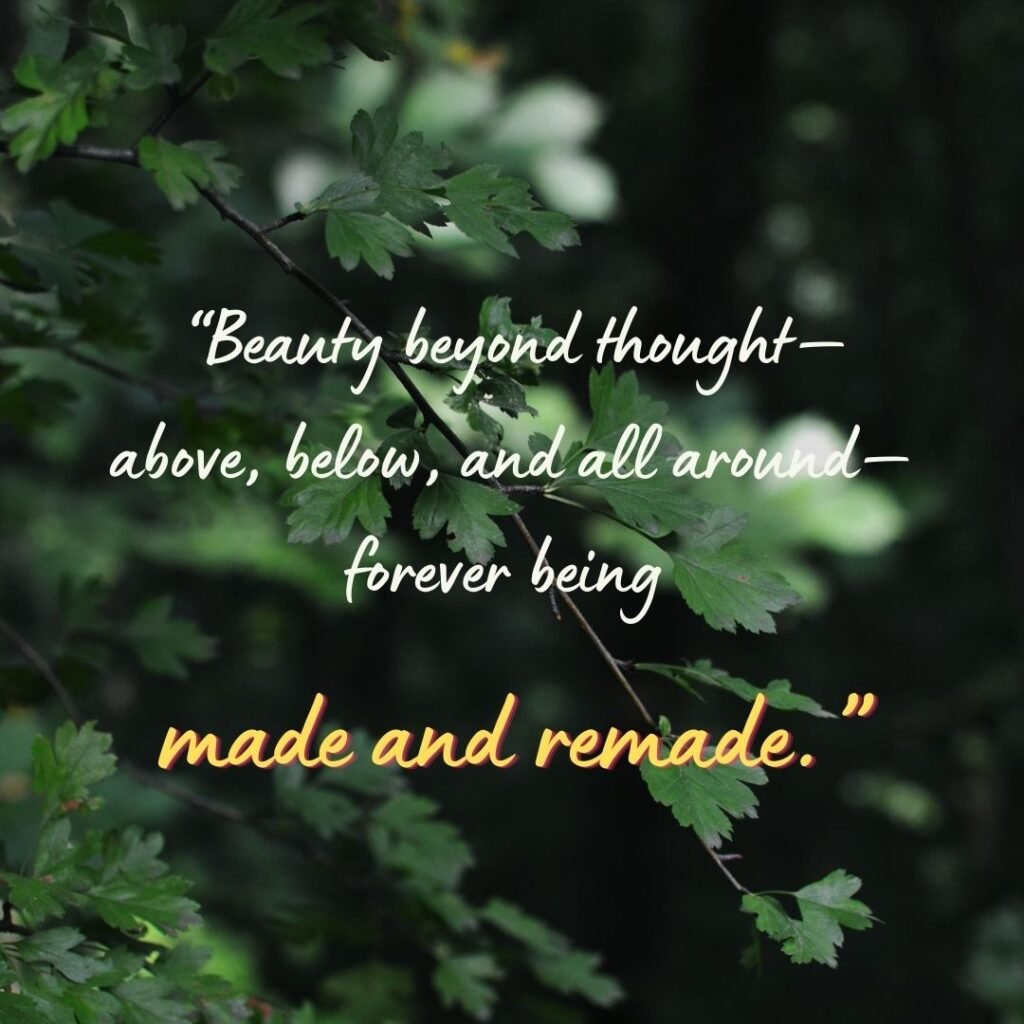 Through Quotes by John Muir on nature