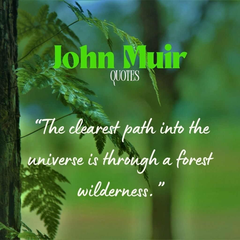 On Nature’s Beauty & Wilderness