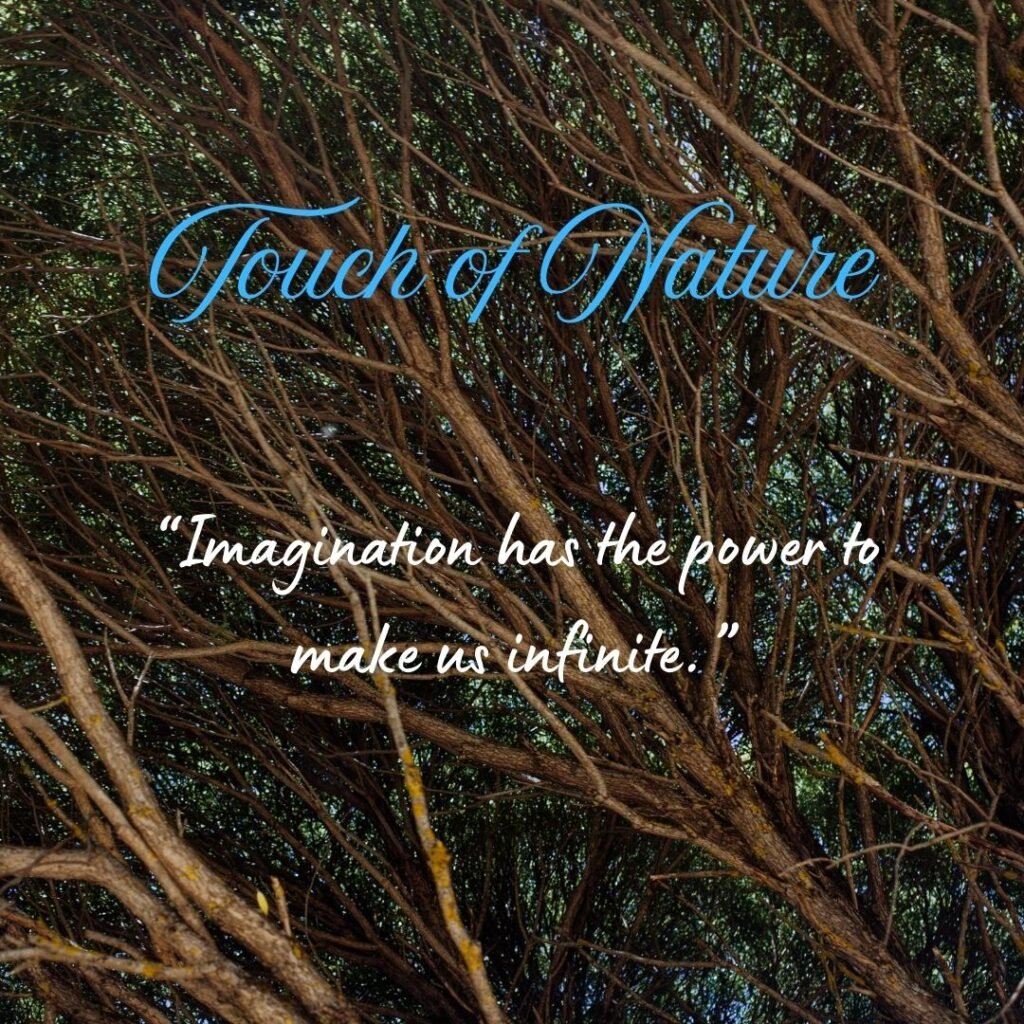 On Nature’s Beauty & Wilderness