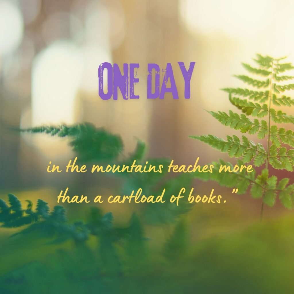 On Trees, Earth & Connection