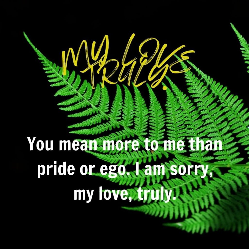 Heart-Touching Apology Messages