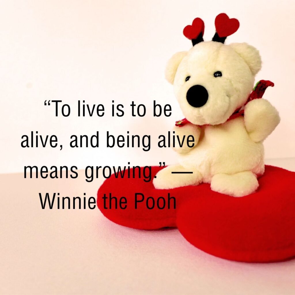 Life Lessons from a Little Bear